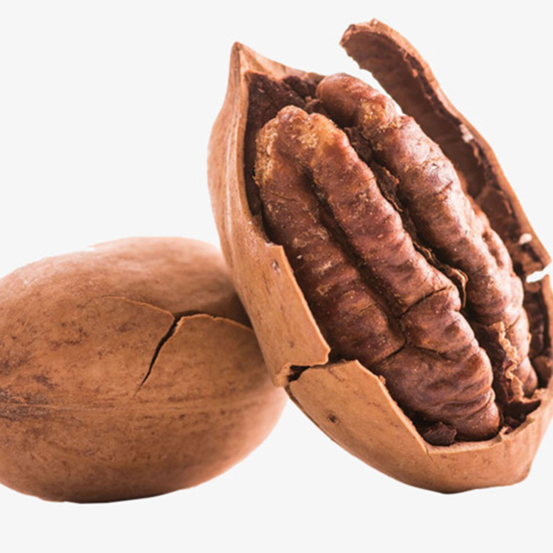 PRODUCCIÓN DE PECANA